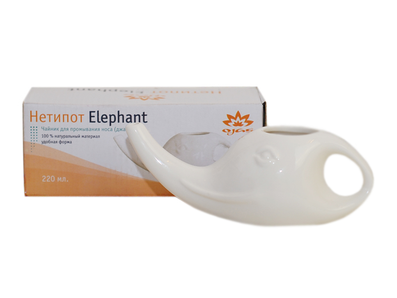 netipot elephant with box